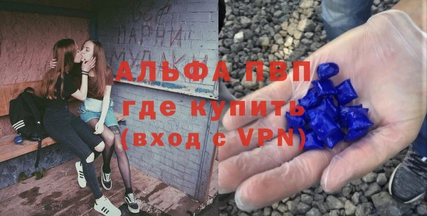 хмурый Алзамай