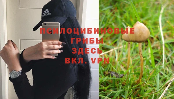 хмурый Алзамай