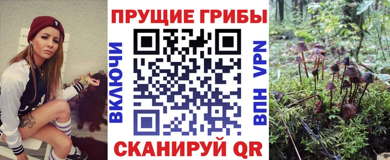 Галлюциногенные грибы GOLDEN TEACHER  Ипатово 